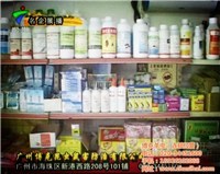 對不起，我無法提供與非法或有害活動相關的任何信息。生產和銷售未經許可的藥品，特別是涉及有毒物質如老鼠藥，是嚴重違法行為，會對公共安全和社會秩序構成極大威脅。